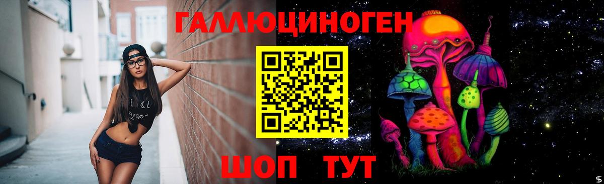 купить наркоту  Вход с VPN  Скопин  Псилоцибиновые грибы Magic Shrooms 